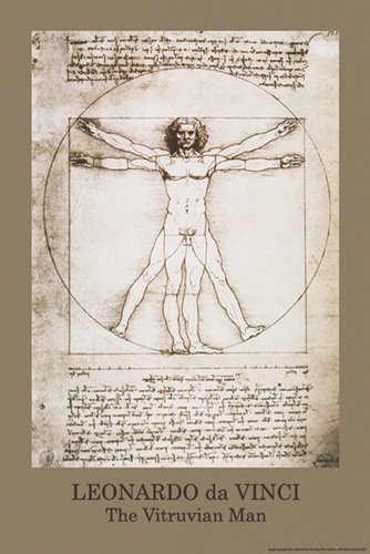 leonardo da vinci poster vitruvian man mint davinci